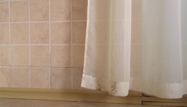Best Residential Mold Inspection & Testing  in Jonesville, NC