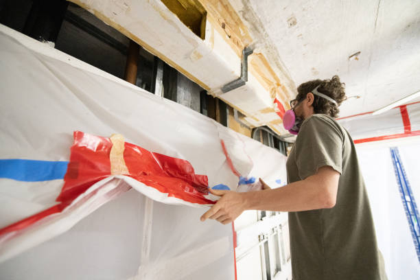 Best Emergency Mold Remediation  in Jonesville, NC
